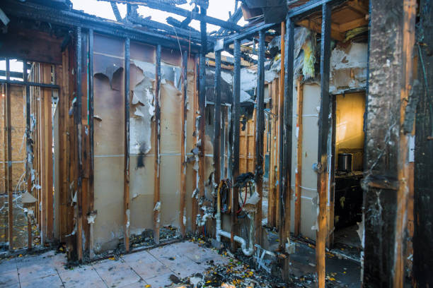 Professional Fire Damage Removal technician working in Lula, GA